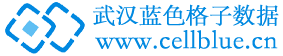 武汉蓝色格子数据科技